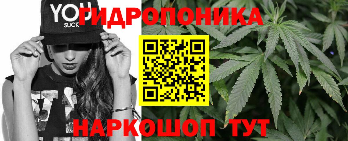 Шишки марихуана AK-47  Конопля ГИДРОПОН  Междуреченск  Вход с VPN  Каннабис MAZAR 